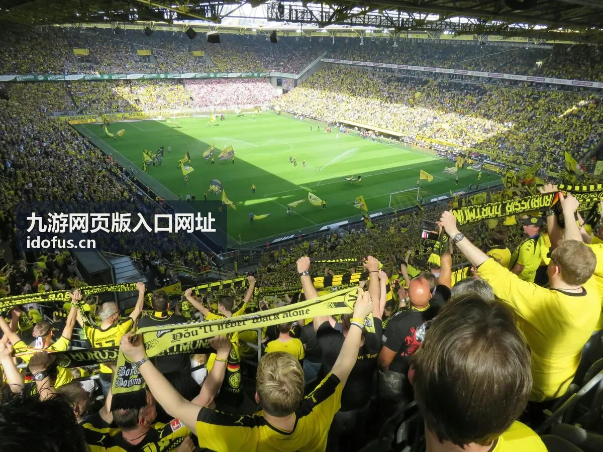 九游网页版入口网址地址栏核对示意