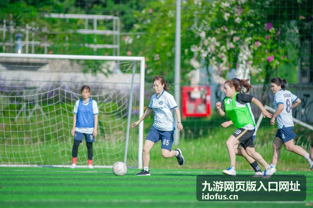 九游网页版入口网址登录保护操作顺序示意图