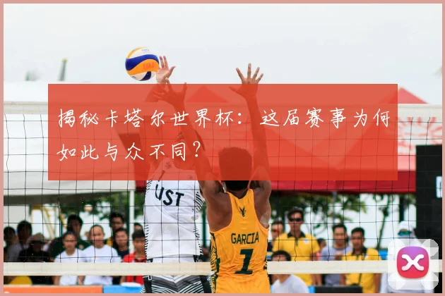 揭秘卡塔尔世界杯：这届赛事为何如此与众不同？