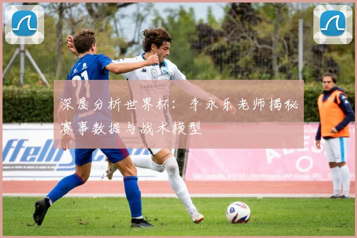 深度分析世界杯：李永乐老师揭秘赛事数据与战术模型